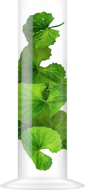 시카잎 유리병 이미지